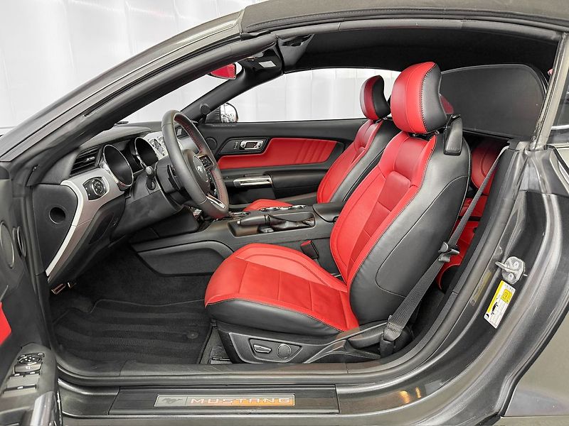 Ford Mustang 5.0 V8 GT CABRIO, ROUSH VÝFUKY - fotka 12 z 27
