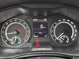Škoda Scala (2019) 1.6 TDI 85kW, ČR - náhled 16