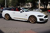 Ford Mustang SHELBY GT-H 5.0 V8 CONVERTIBLE - náhled 8