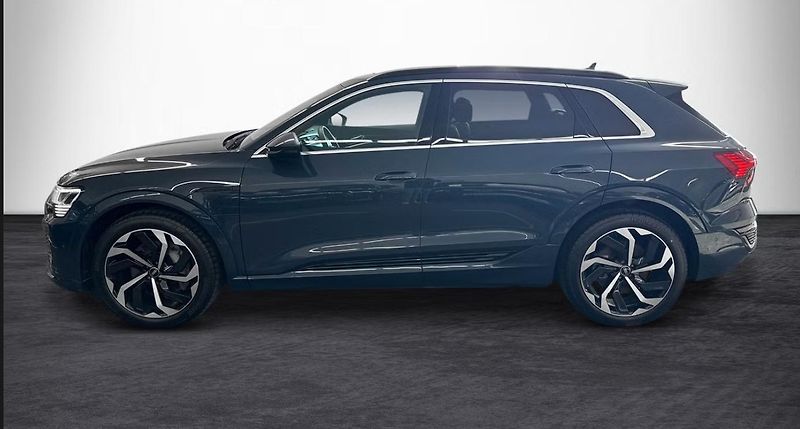Audi Q8 e-tron 55 Q 360k 4 zóny Pano Matrix - fotka 4 z 22