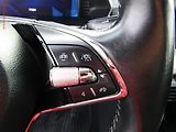 Škoda Octavia (2020) 2.0 TDi, ČR, Ambition - náhled 13