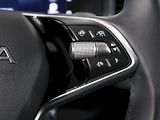Škoda Karoq (2025) TOP SELECTION 1.5TSI 110KW DSG - náhled 21