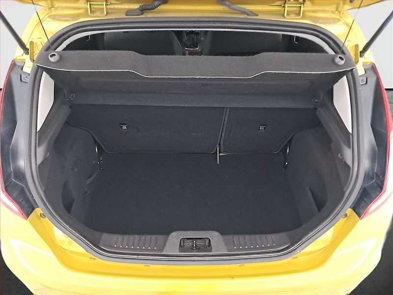 Ford Fiesta (2015) 1.0 i, Park. senzory - fotka 14 z 17