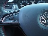 Škoda Rapid (2016) 1.2 TSI, 81 kW, MonteCarlo - náhled 22
