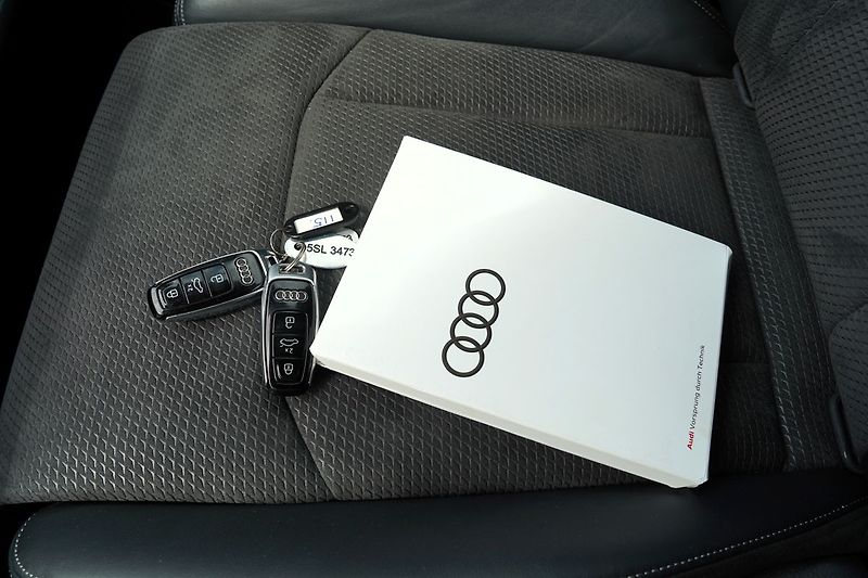 Audi Q7 50 TDI/Q/360/22/Sline/DPH - fotka 48 z 48