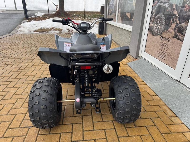 Linhai (2026) ATV 110 - fotka 3 z 3