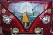 VW Microbus 