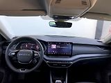 Škoda Octavia (2025) SELEC Exclusive TD 110/2.0 A7F - náhled 4