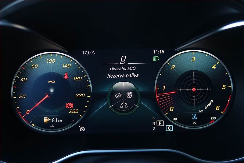 Mercedes-Benz GLC (2019) 300 d 4MATIC - fotka 11 z 20
