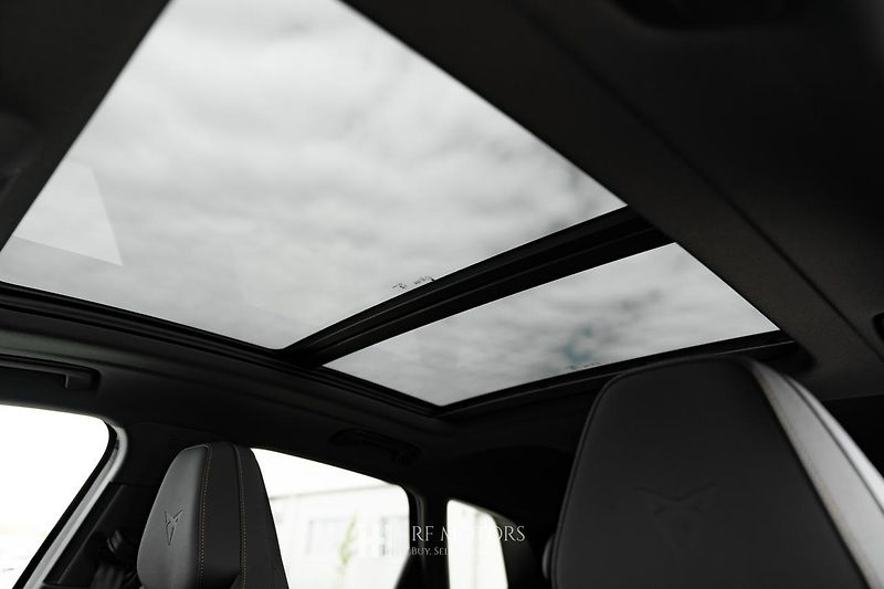 Cupra Terramar (2026) VZ 2.0 TSI 265 4DRIVE - fotka 17 z 54