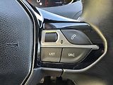 Peugeot 3008 (2018) 1.2/96kW *2.Maj *   - náhled 14