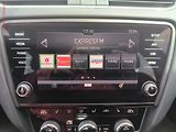 Škoda Octavia (2019) 1.5 TSi, ČR, DSG, LED, park - náhled 11