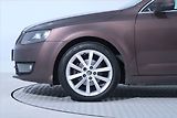 Škoda Octavia (2016) 1.6 TDI, Automat, Navi, Xenony - náhled 15