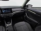 Škoda Octavia (2023) 2.0 TDI - náhled 8