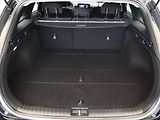 Kia Ceed (2023) 1.5 T-GDI, ČR, 1. maj. - náhled 12