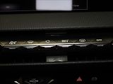 DS Automobiles DS4 1,5 HDi 96kW Cross Rivoli PANO - náhled 26