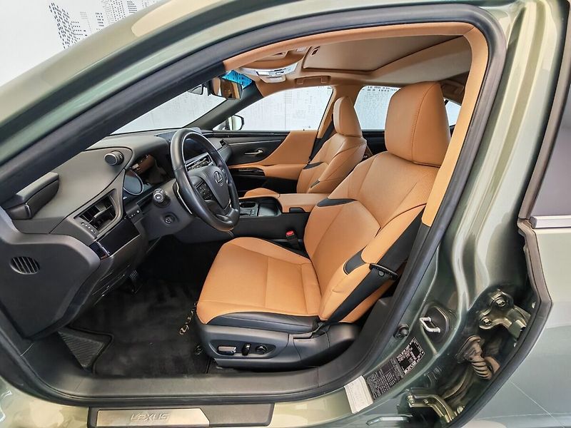 Lexus ES 300h Limited Edition - fotka 21 z 37
