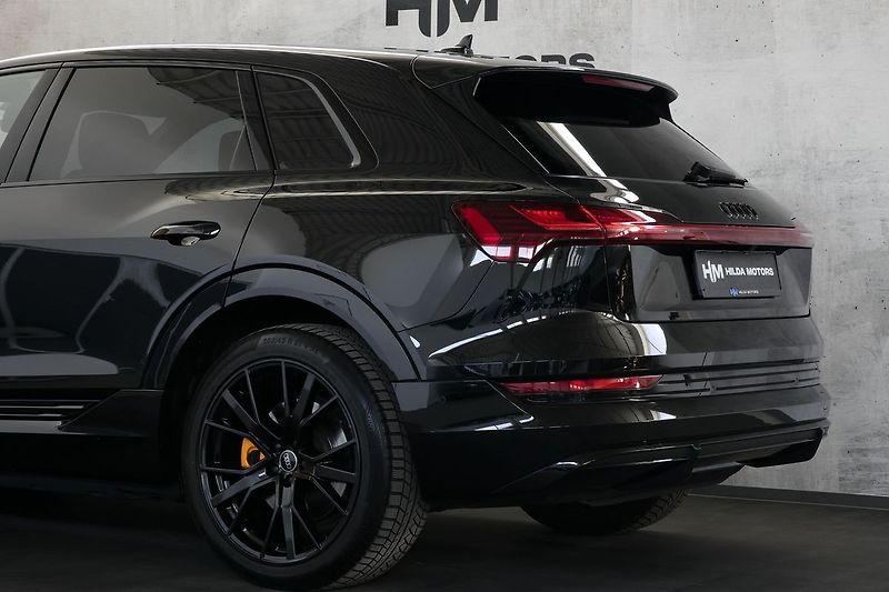 Audi e-tron 55 300kW Sline BlackEd Pano TZ - fotka 8 z 44