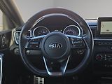 Kia Ostatní (2019) GT 1.6T-GDi 150kW, Serv.kniha - náhled 10
