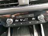 Škoda Scala (2024) SELEC TOP TSI 110/1.5 A7F - náhled 15