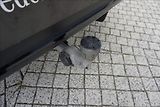 Mercedes-Benz GLC 2,0 300 4M kupé 1.maj - náhled 16
