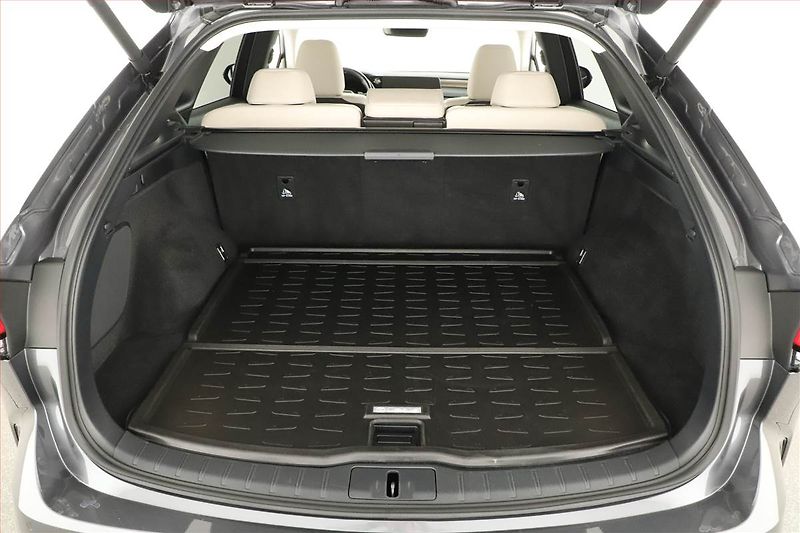 Lexus RX 400h (2023) 450h+ - fotka 19 z 20