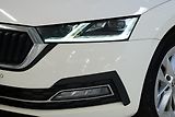 Škoda Octavia - náhled 9