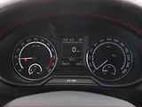 Škoda Octavia (2014) RS 2.0 TDI, Automat, Kůže - náhled 11