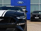 Ford Mustang 5,0 GT V8 330kW 55YearsEdition - náhled 9