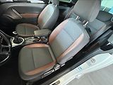 Volkswagen Beetle 1,2   TSI,ALLSTAR,ŘEMEN,SERVIS - náhled 20