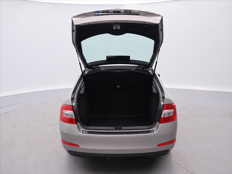 Škoda Octavia 1,6 TDI Ambition Klima CZ - fotka 9 z 32