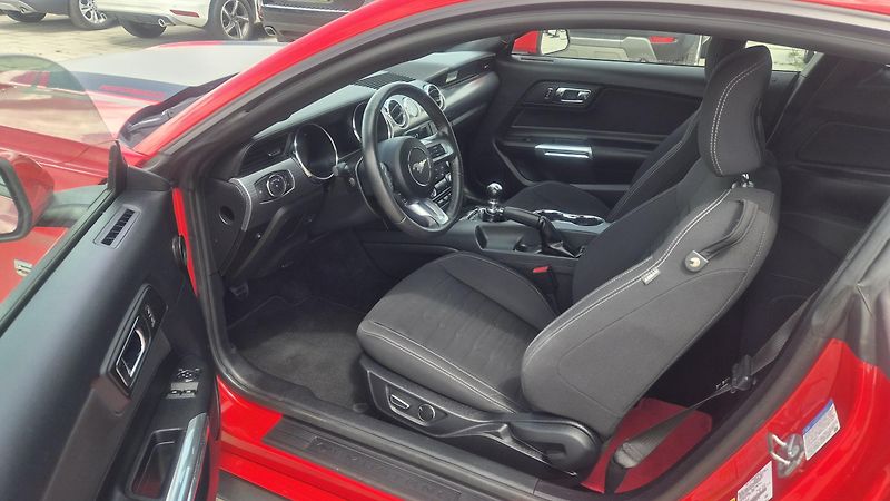 Ford Mustang 2.3T  50 Years Edition 233kw - fotka 10 z 19
