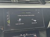 Audi e-tron (2020) Quattro 230kW Advanced, PANO - náhled 35
