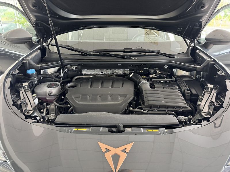 Cupra Terramar 2,0TSI VZ 265*4x4*DPH*Tažné - fotka 35 z 35