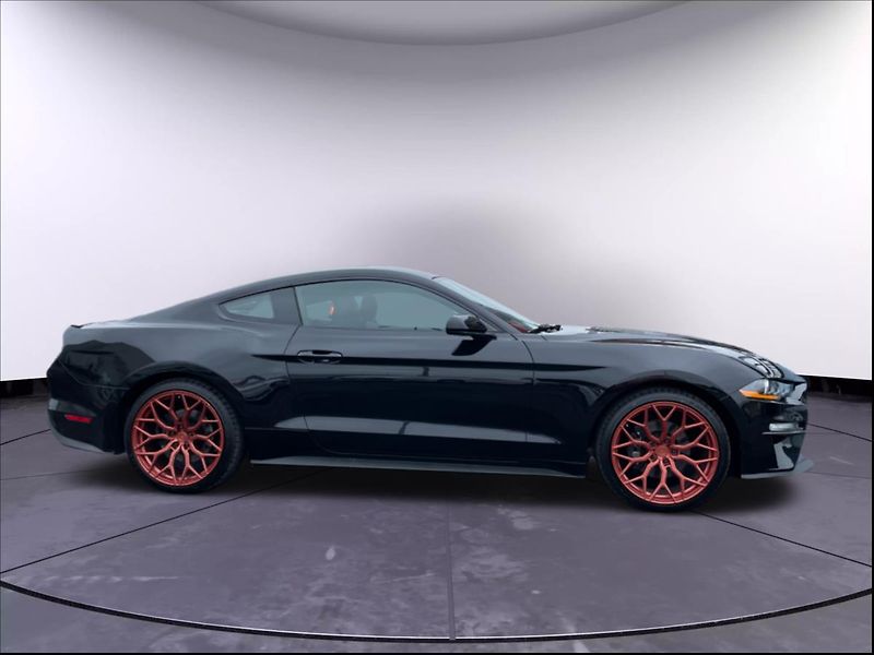 Ford Mustang 2,3 EcoBoost/AUTOMAT - fotka 4 z 23
