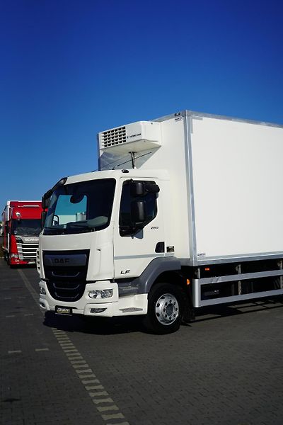 DAF LF (2022) 260 / ACC / EURO 6 / CHŁODNIA  - fotka 20 z 41