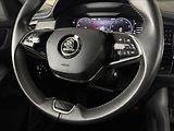 Škoda Kodiaq 2,0 TDi  DSG Style LED Virtual - náhled 44