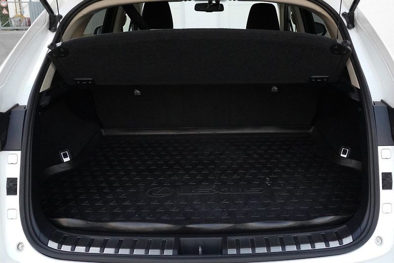Lexus NX 300h 300H 2.5 HYBRID AWD PREMIUM - fotka 20 z 24