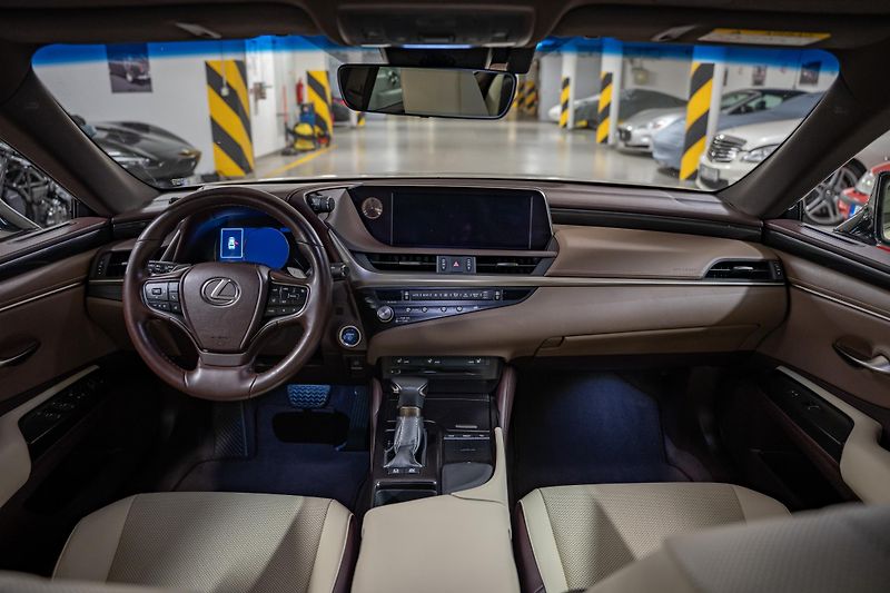 Lexus ES 300h (2020) Luxury, LED, 360, DPH - fotka 11 z 27