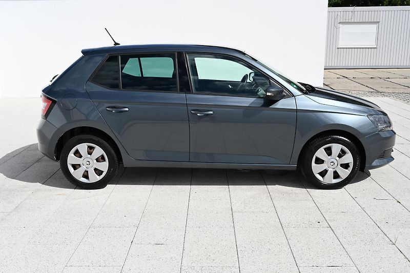 Škoda Fabia 1.2TSI 81KW DSG Ambition 5/16 - fotka 4 z 49