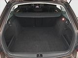 Škoda Octavia (2019) 1.6 TDI, Automat, Tempomat - náhled 14