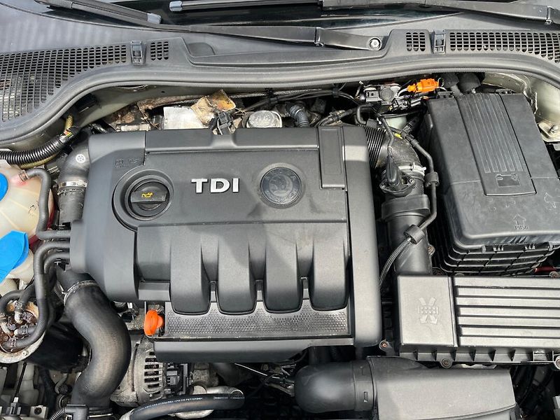 Škoda Octavia (2006) 1.9 TDI Rozvody - fotka 15 z 16