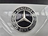 Mercedes-Benz Atego 1627 KONTEJNER 10T - náhled 22
