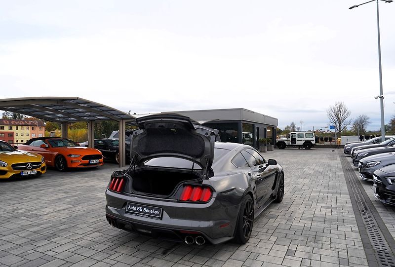 Ford Mustang (2018) Shelby GT350 5.2 Recaro,533 PS - fotka 13 z 41