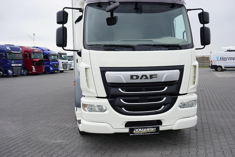 DAF LF (2019) 290 / E 6 / FIRANKA + WINDA /  - fotka 28 z 44