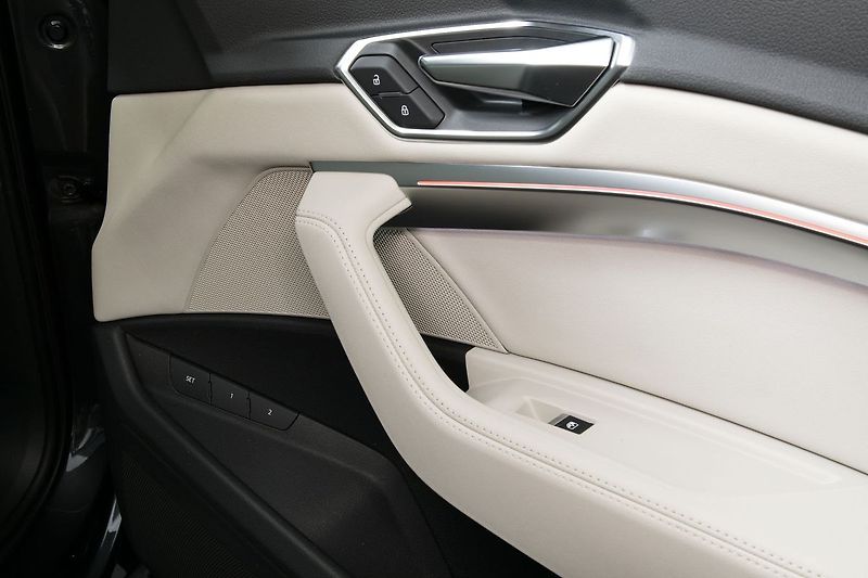 Audi e-tron 55 300kW Ventilace Matrix 360 - fotka 20 z 48