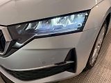 Škoda Octavia (2024) TOP SELECTION 2.0TDI 110KW DSG - náhled 10