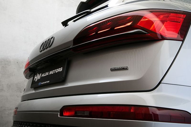 Audi Q7 3.0TDI 210kW S-line Web ZÁRUKA - fotka 9 z 50