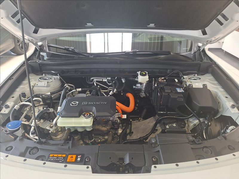 Mazda MX-30 EV e-SKYACTIV LUXURY - VINTAGE - fotka 13 z 13