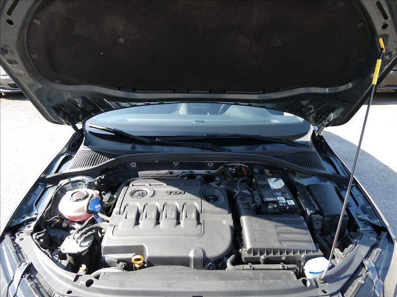 Škoda Octavia 2,0 TDi 135kW RS DSG, serviska - fotka 39 z 49